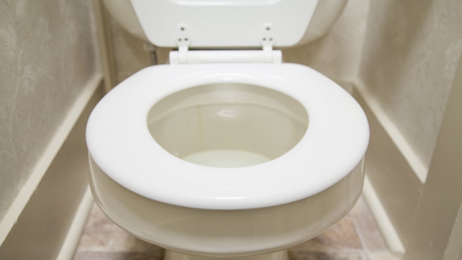 Can a Snake Come Up Through the Toilet? | Angie\'s List Can a Snake Come Up Through the Toilet? | Angie\'s List