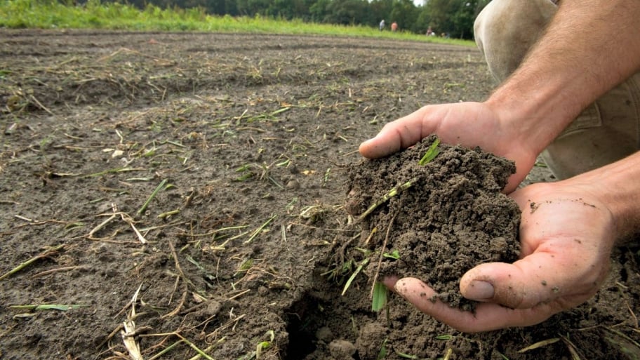 Improve Plant Growth by Using Better Soil Angie's List