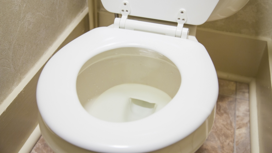 toilet