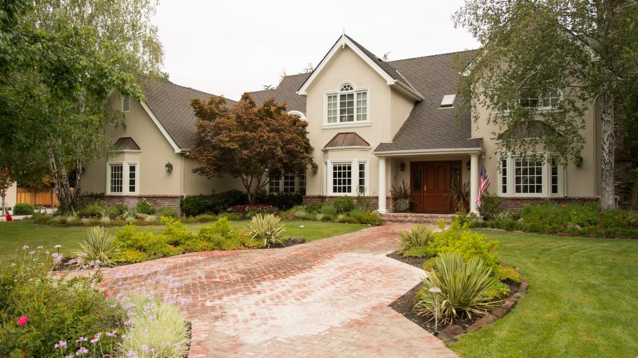house with trees