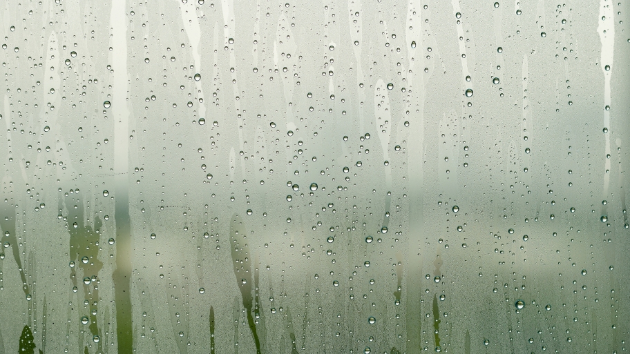 Foggy Glass Repair Chicago Glass Screens Windows And Hardware