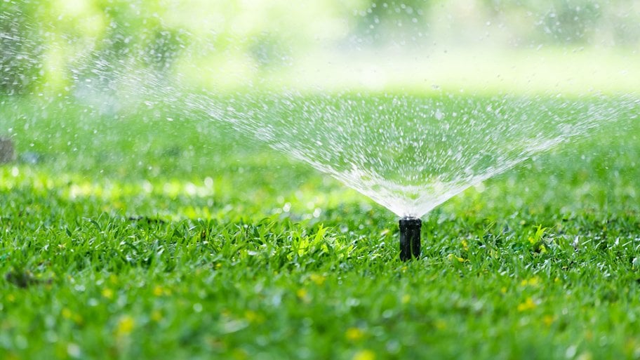 sprinkler in green grass spraying water