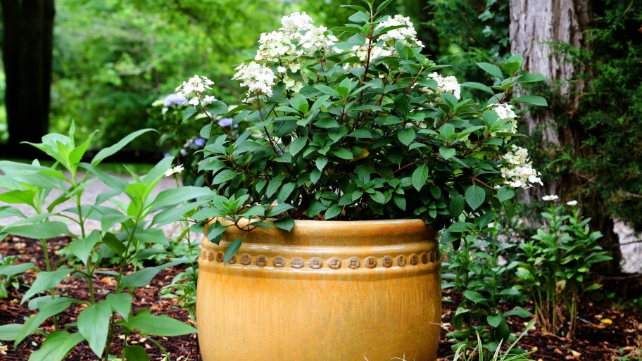 Transform Yard Landscaping with Garden Accents Angie's List