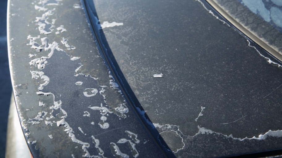 How To Prevent And Repair Car Paint Oxidation Angie S List