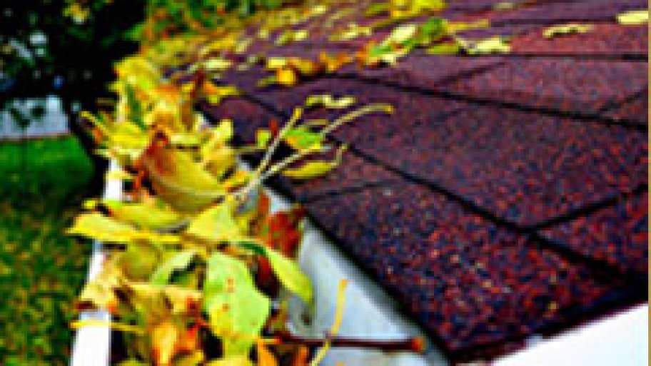 Gutter Cleaning Angie's List