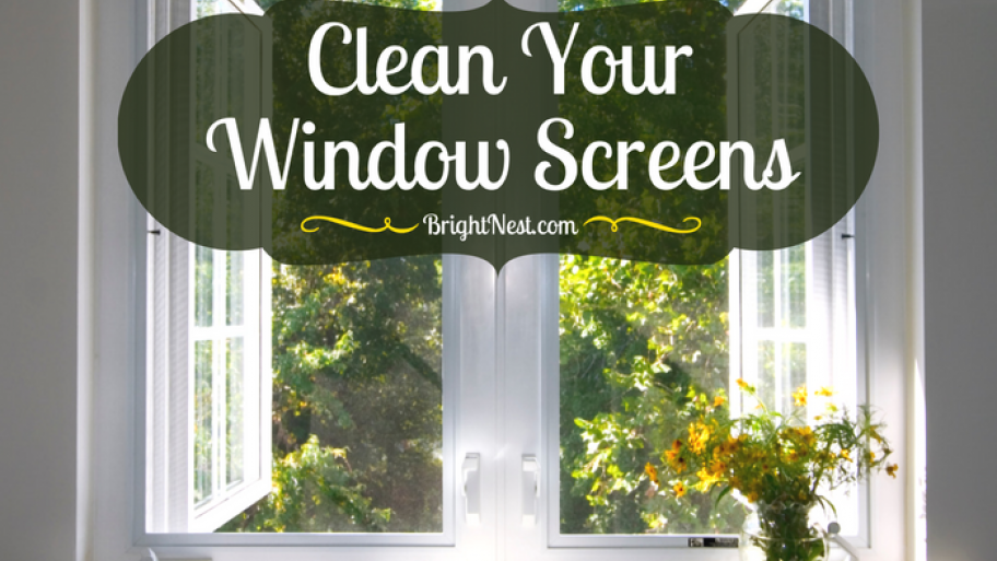 Window Cleaning Angie's List