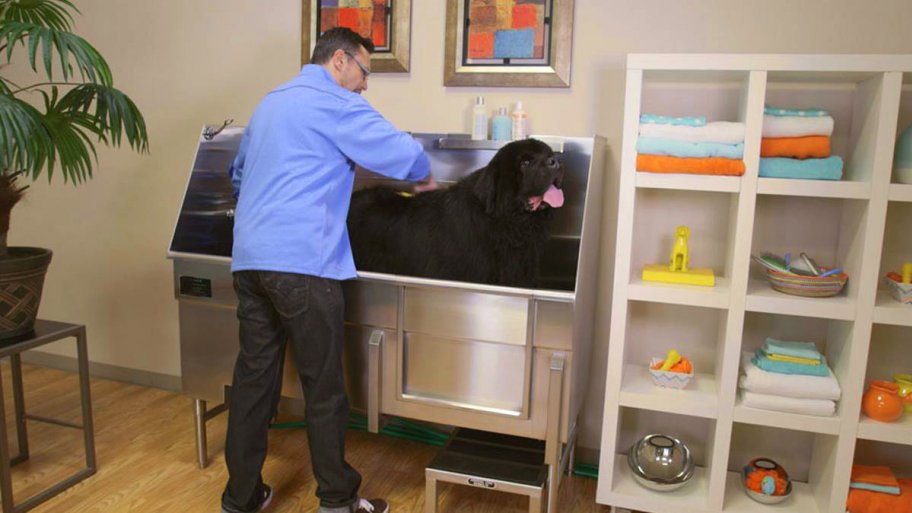 Can I Install A Dog Tub In My Home Angie S List Can I Install A Dog Tub In My Home