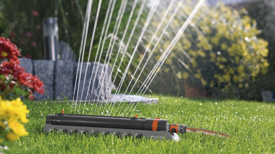What Is The Best Time To Water My Lawn Angie S List What Is The Best Time To Water My Lawn Angie S List