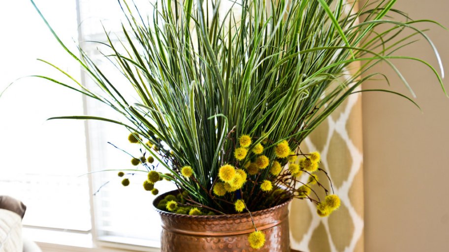 Tips to Care for Indoor Plants in the Cold Winter Angie's List