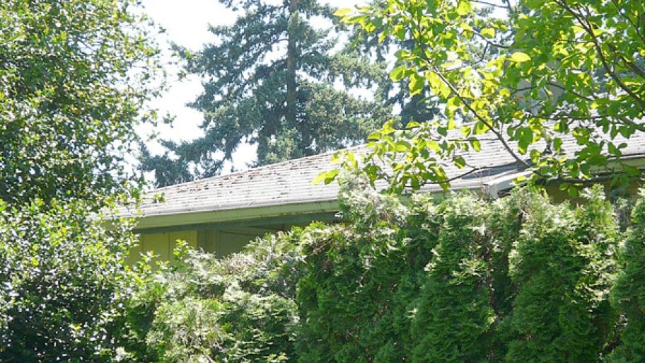 landscaping tips to improve security landscaping tips to improve security