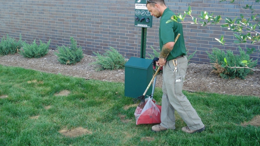 Pooper Scooper Angie's List