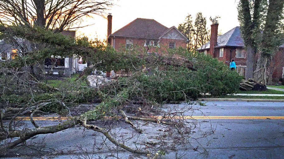 Storm damage