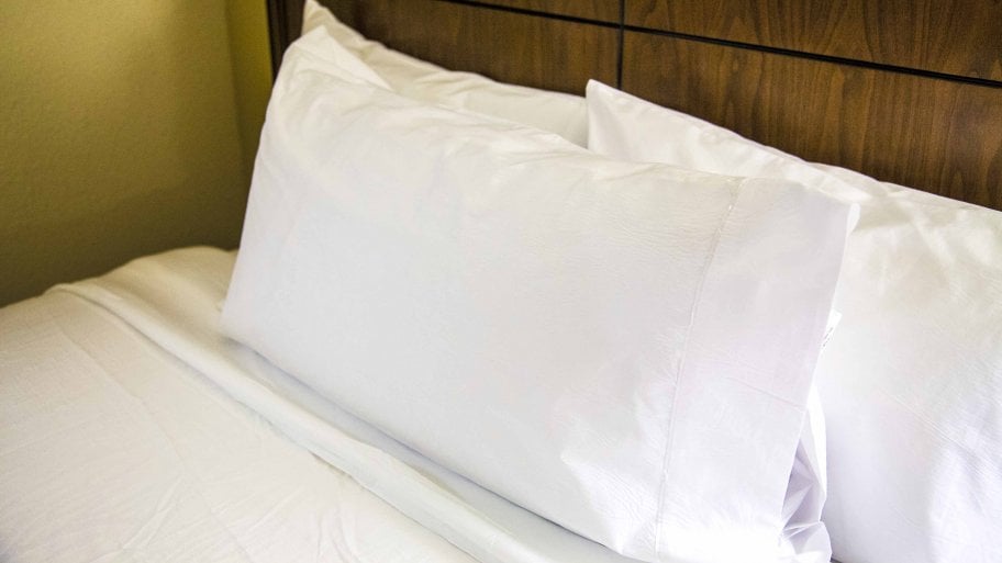 Unexpected Bed Bug Removal Expenses Angie S List