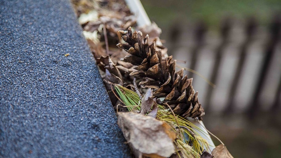 debris in gutter