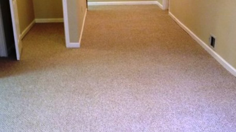Which Type Of Berber Carpet Is Best For Your Bat Angie S List