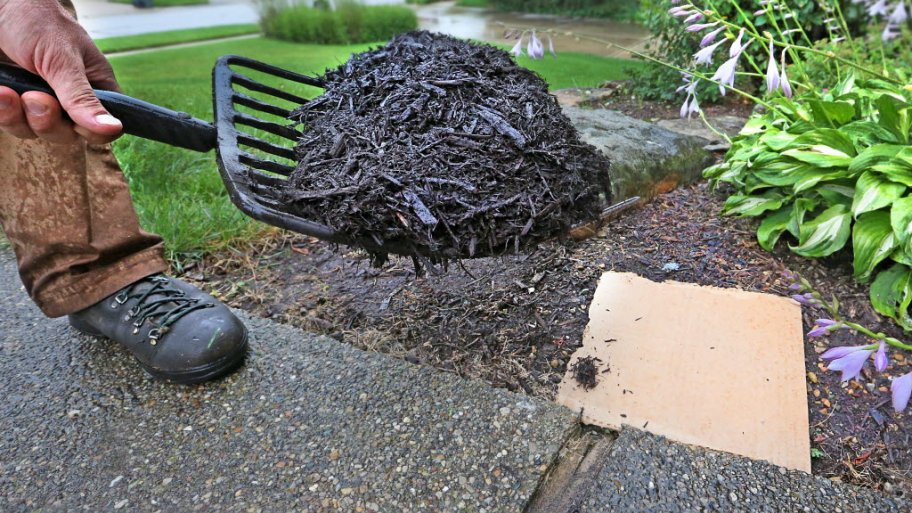 What's the Best Mulch for Yards? Angie's List