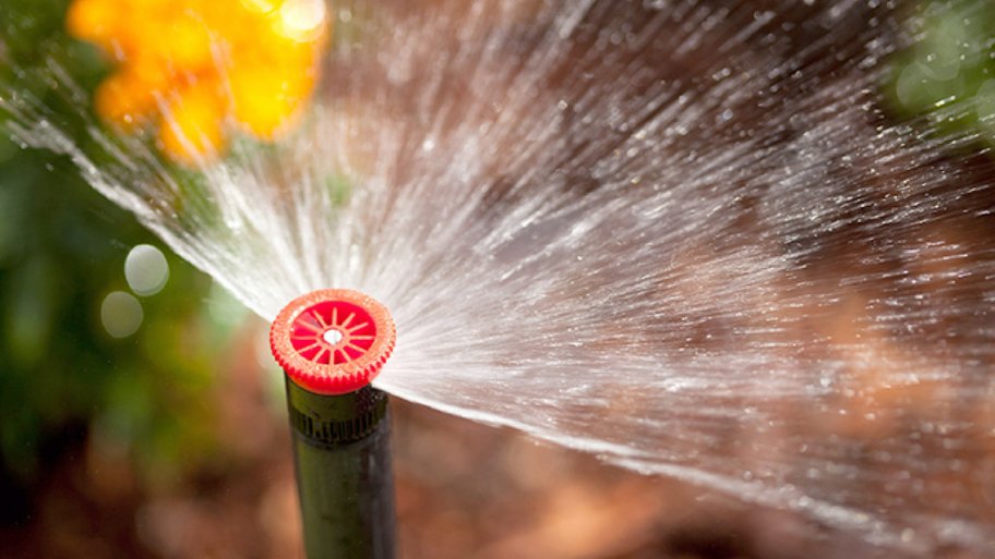 best sprinkler for flowers