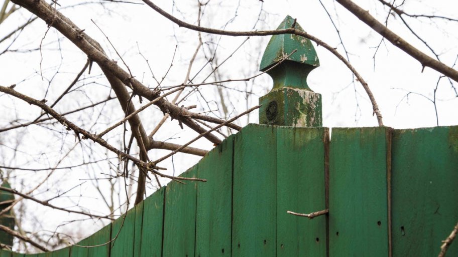 Fence and tree
