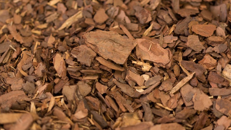 pine bark organic mulch