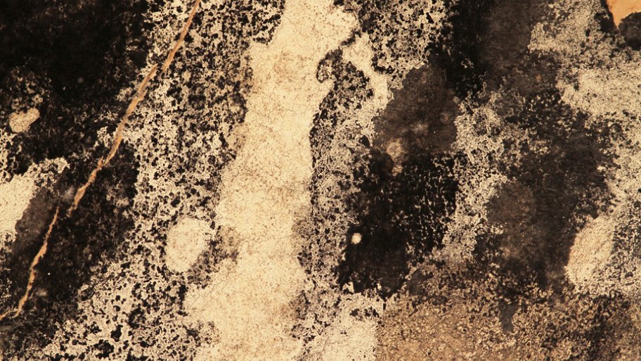 Mold Removal and Remediation