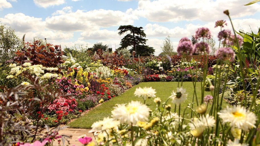 a large garden with a lot of flowers