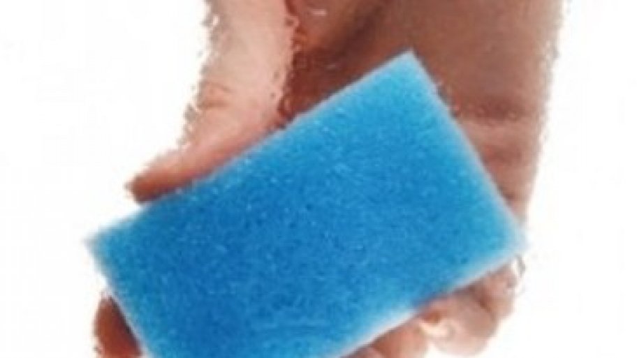 Kitchen Sponge vs Toilet Seat Which has more germs? Angie's List