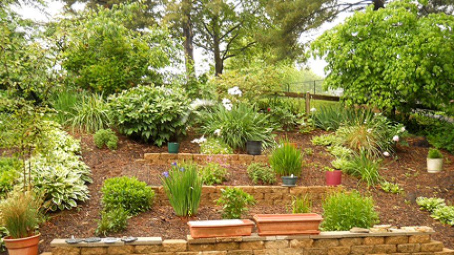 organic weed control