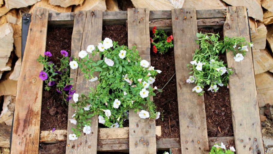diy vertical pallet garden