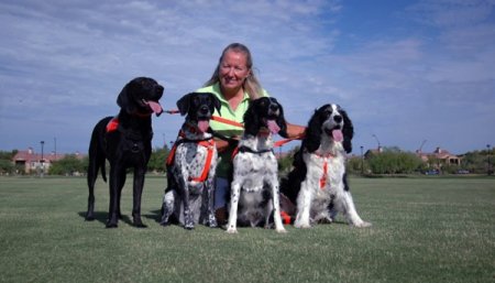 Lucas, Riley, Higgins and Dudley (left to right) have all been member's of Cooke's crew. Dudley and Riley were her original search dogs. (Photo courtesy of Deborah Cooke)