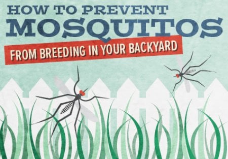 How To Keep Mosquitoes Out Of Your Yard Angie's List Follow the nine tips on this infographic to prevent mosquitoes from breeding on your property - How To Keep Mosquitoes Out Of Your Yard Angie's List