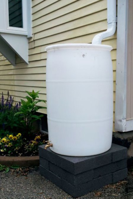 Rainwater barrel