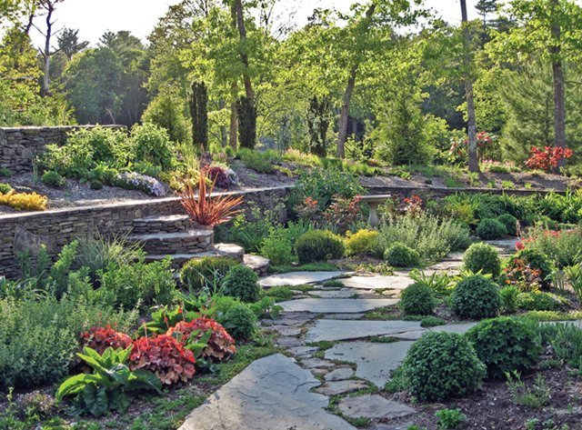 Lawn, Garden, Shaded Lots, Landscaping | Angies List Tips | Angie's List