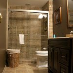 bathroom in basement remodel
