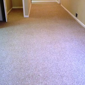 Handling An Emergency Berber Carpet Repair Angie S List