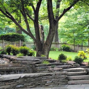 How Much Does It Cost To Lay Sod Angie S List Lush Green Landscaped Lawn