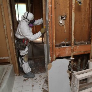 How Much Does Mold Inspection Cost Angie S List A Man In Mold Remediation Uniform Removes Drywall From Bathroom To Clear Out