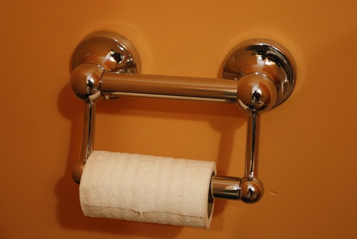 grab bar toilet paper roll