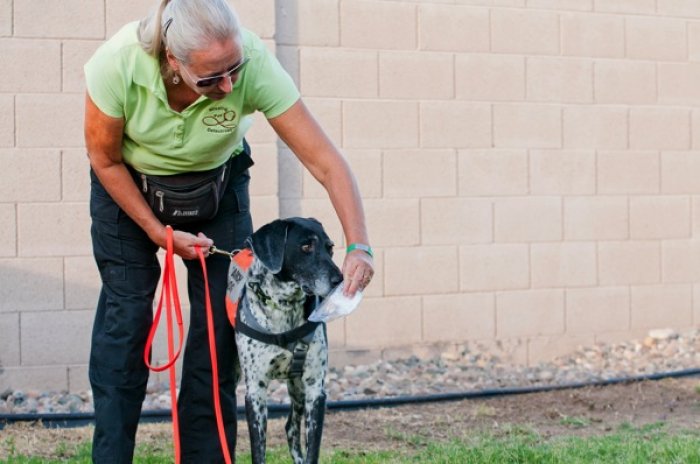 Cooke starts searches by giving her dogs the scent of the missing pet. (Photo by David Basaldua)