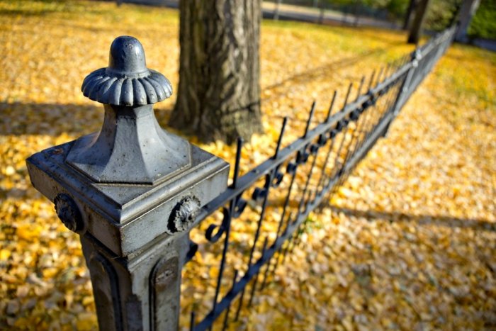 wrought iron fence