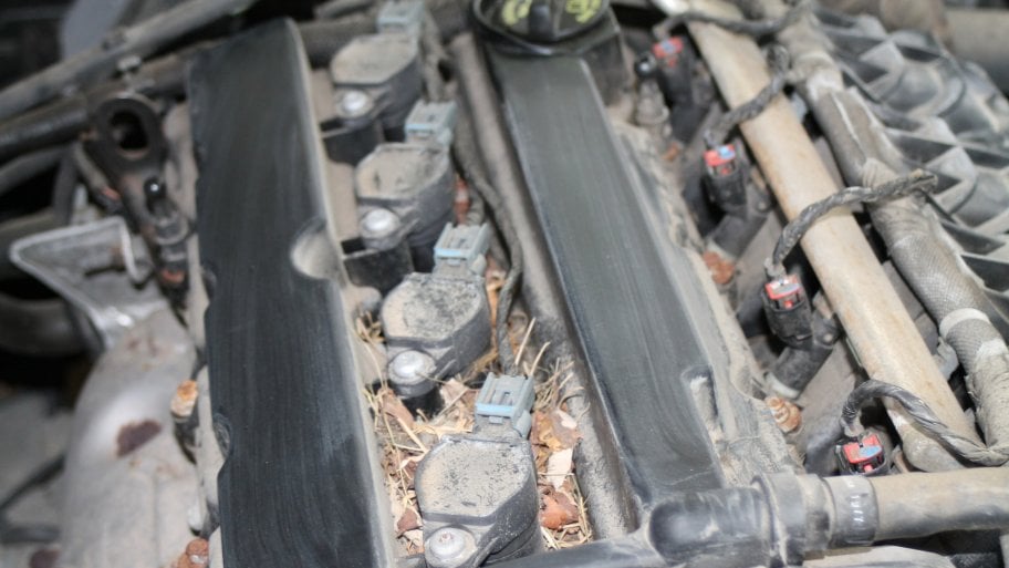 How to Prevent Mice from Damaging Your Car Angie's List