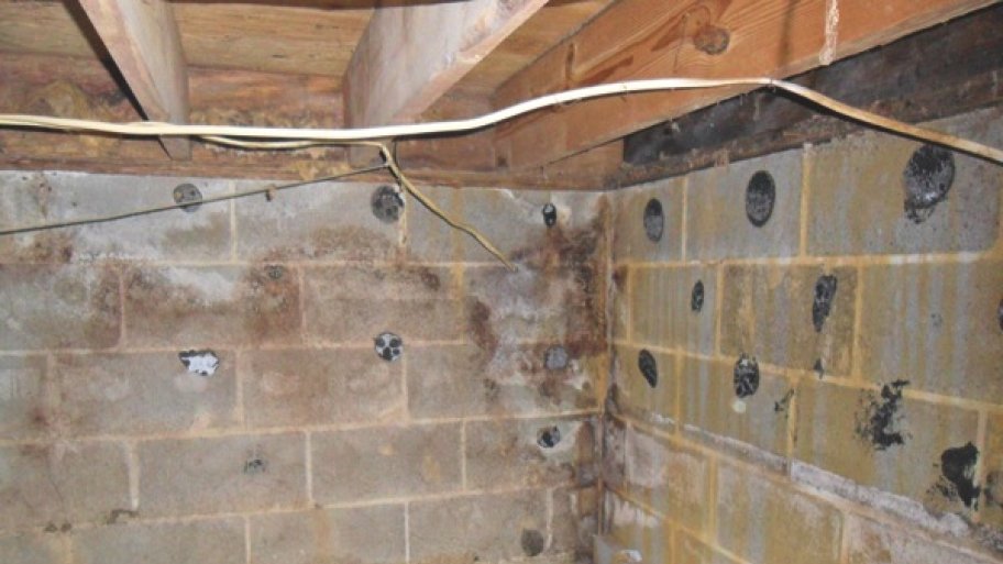 Mold In Bathroom Linen Closet got mold? indy mold removal specialists offer remediation advice Mold In Bathroom Linen Closet got mold? indy mold removal specialists offer remediation advice