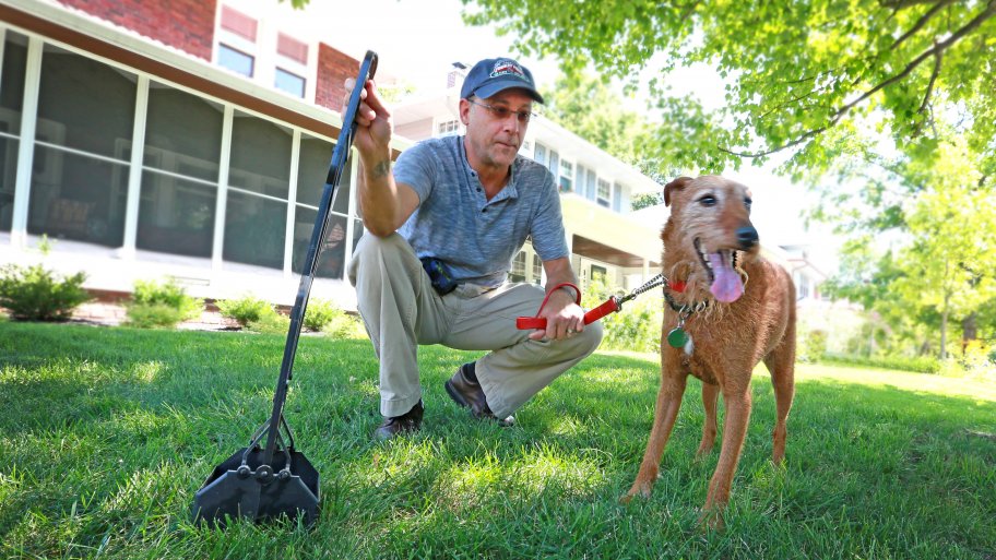 How to Hire a Pooper Scooper Angie's List