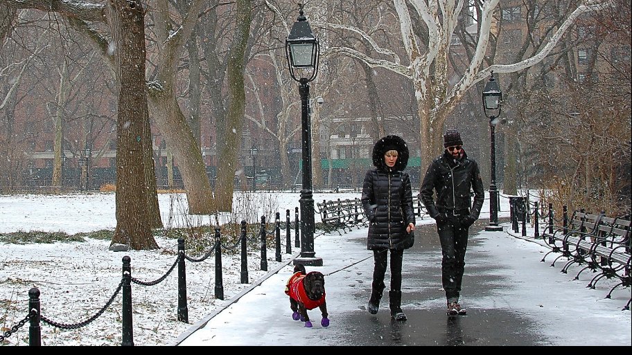 two people walking a dog in snow