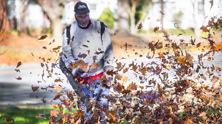 leaf blower landscaper blowing pile of leaves with leaf blower