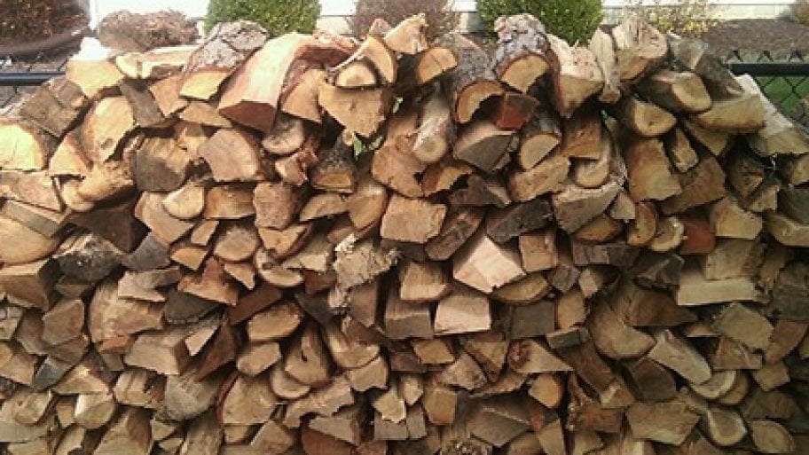 How to Pick and Store the Best Firewood Angie's List