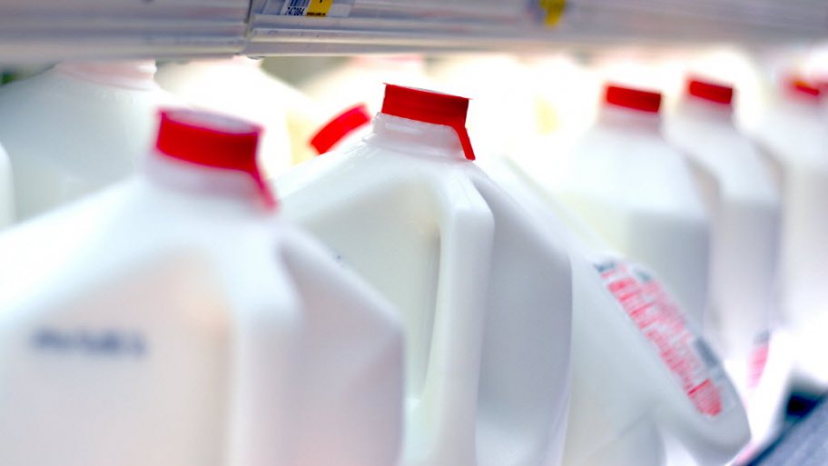 Gallons of milk in a grocery store dairy section.