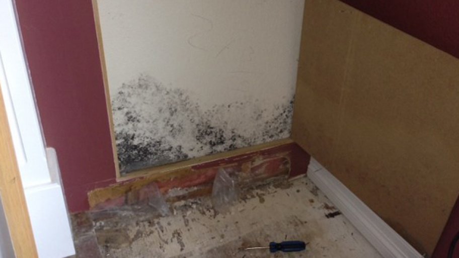 Beware of Mold When Buying a Foreclosed Home Angie's List