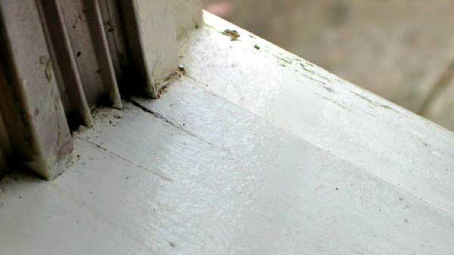 How To Keep Bugs Out Of Your House Angie S List