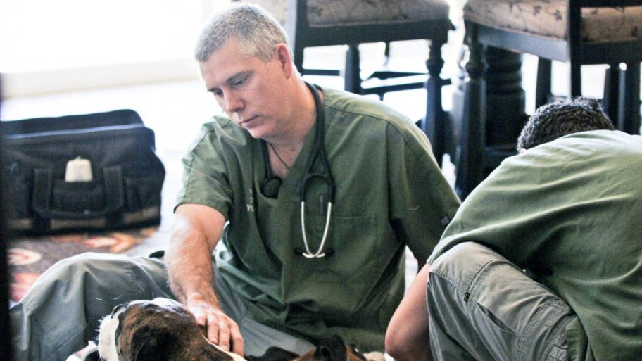 Can A Vet Euthanize My Dog At Home Can A Vet Euthanize My Dog At Home