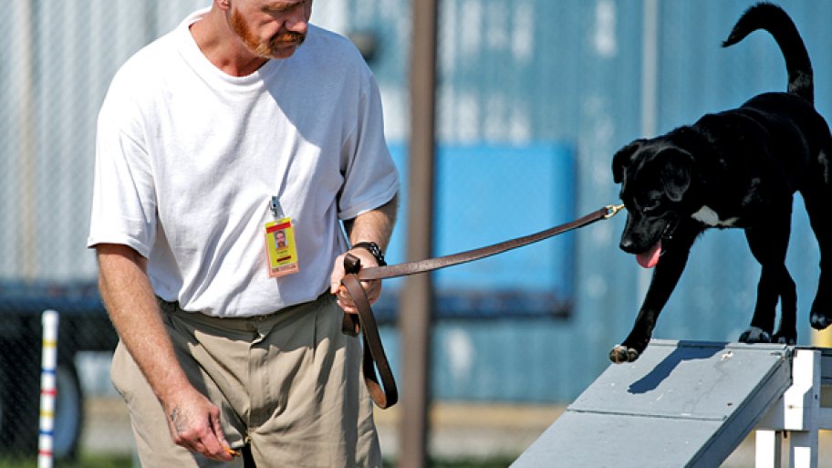 man holding dog on leash while dog balances on beam